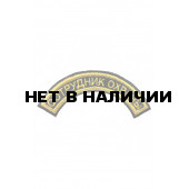 0011 Сотрудник охраны (дуга) Шеврон