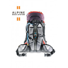 Система Deuter Alpine Back System