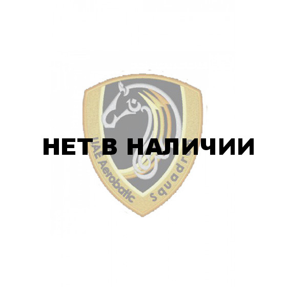 0520 UAE AEROBATIC SQUADRON Шеврон