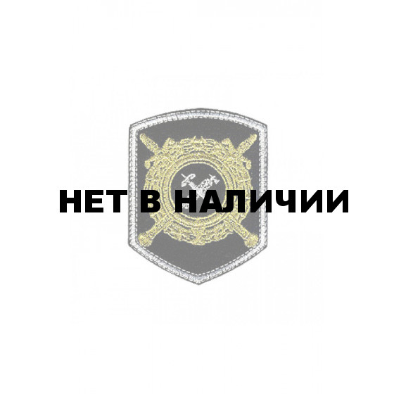 0067 Тыл (золото) Шеврон