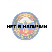 0080 Голубые молнии Шеврон