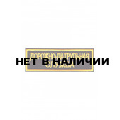 0163 ДПС Шеврон 