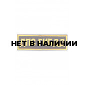 0164 ДПС ГИБДД Шеврон 