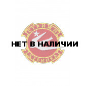 0001 Стрижи Шеврон
