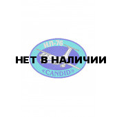 0212 ИЛ-76 Candid Шеврон