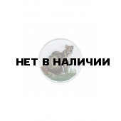 0312 Лев и львица Шеврон
