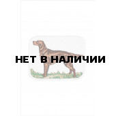 0332 Ирландский сеттер Шеврон