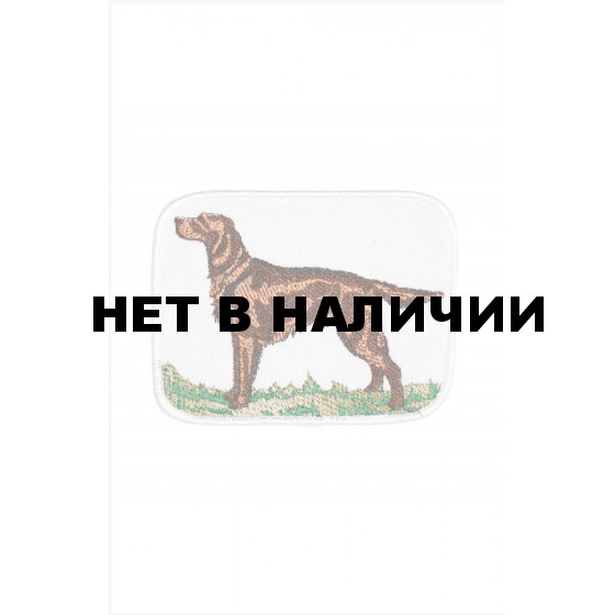 0332 Ирландский сеттер Шеврон