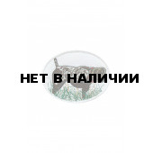 0338 Курцхаар Шеврон