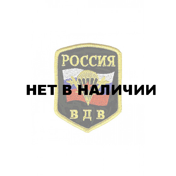 0045 ВДВ МО РФ Шеврон