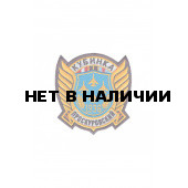 0004 Проскуровский полк Шеврон