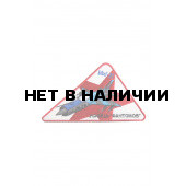 0097 МиГ-21 Убийца фантомов Шеврон