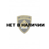 0184 Академия Гражданской Защиты Шеврон