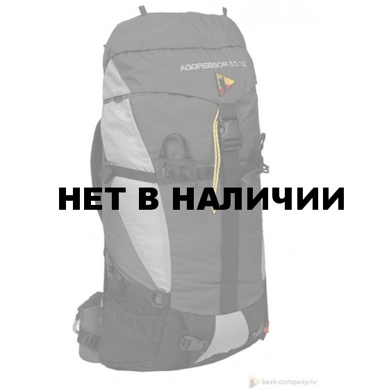 Рюкзак BASK AGGRESSOR 60 V2 серый темный/серый светлый