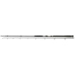 Спиннинг Daiwa Exceler Catfish 3.00м (200-600г) 11818-305RU
