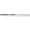 Спиннинг Daiwa Accudepth Troll 2.25M (12-20Lb) 11821-225RU