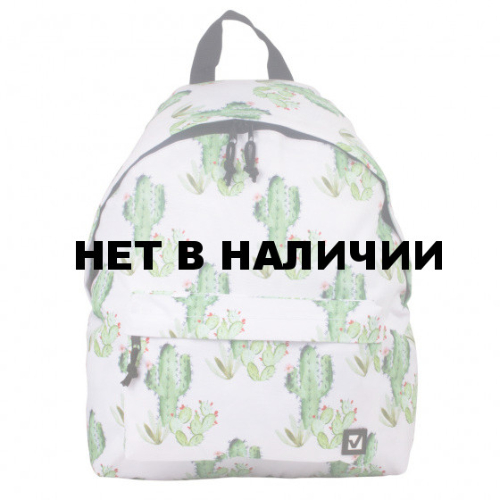 Рюкзак городской Brauberg Мексика 20 л 226416