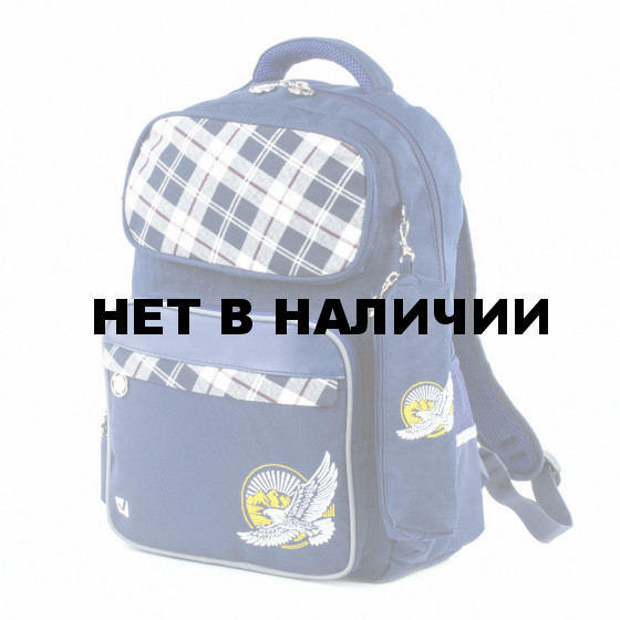 Рюкзак для мальчиков Brauberg Орел с пеналом 18 л 227853