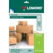Этикетка самоклеящаяся Lomond 210х297 мм 50 листов по 1 шт зеленая 2020005