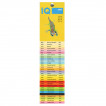 Бумага цветная для принтера IQ Color А4, 80 г/м2, 250 листов, 5 цветов, RB01