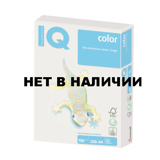 Бумага цветная для принтера IQ Color А4, 160 г/м2, 250 листов, серая, GR21