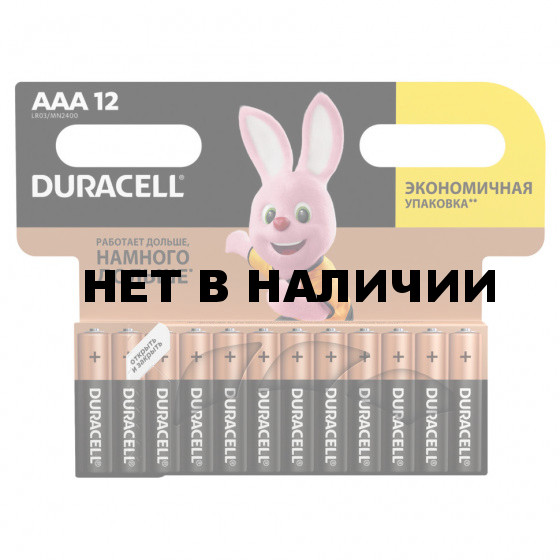 Батарейки алкалиновые Duracell Basic LR03 (AAA) 12 шт (451362)