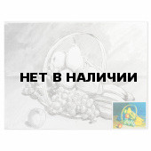 Холст грунтованный на картоне с контуром Brauberg Art Classic Фрукты 30х40 см, хлопок 190634