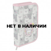 Пенал без наполнения Brauberg Kittens 229286