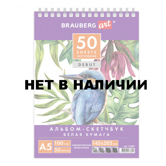 Скетчбук 145х205 мм Brauberg Art Debut 50 листов, 100 г/м2 110987