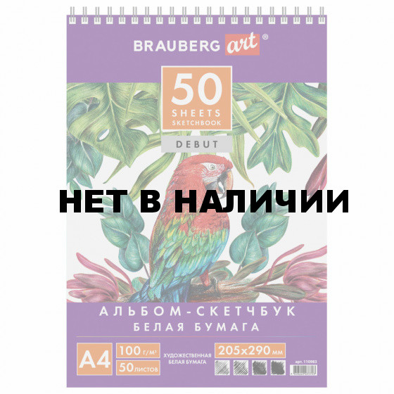 Скетчбук 205х290 мм Brauberg Art Debut 50 листов, 100 г/м2 110983