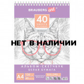 Скетчбук 205х290 мм Brauberg Art Debut 40 листов, 120 г/м2 110984