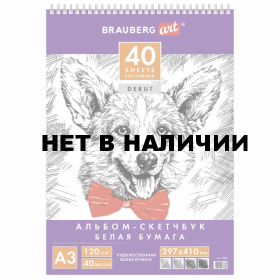 Скетчбук 297х410 мм Brauberg Art Debut 40 листов, 120 г/м2 110981