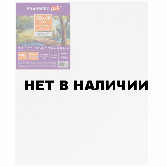 Холст грунтованный на подрамнике Brauberg Art Debut, 30х40 см, хлопок, мелкое зерно 191023