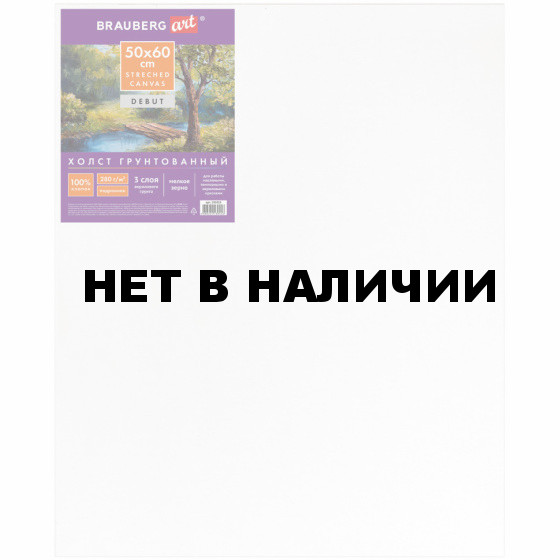 Холст грунтованный на подрамнике Brauberg Art Debut, 50х60 см, хлопок, мелкое зерно 191025