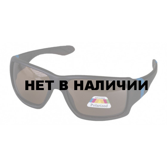 Очки поляризационные в чехле Premier Fishing (PR-OP-1189-B)