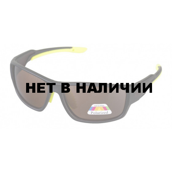 Очки поляризационные в чехле Premier Fishing (PR-OP-1197-B)