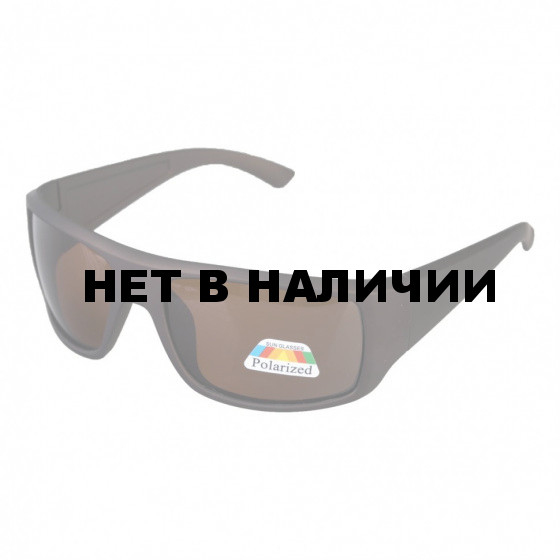 Очки поляризационные в чехле Premier Fishing (PR-OP-9390-B)