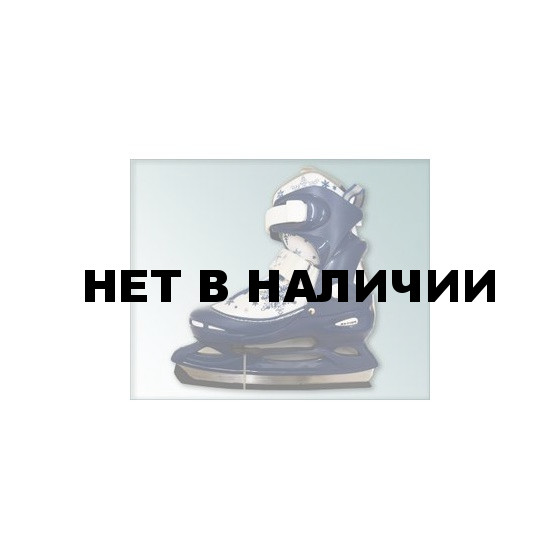 Коньки раздвижные PW-211F (синие)