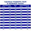 Лыжный комплект VISU (лыжи, палки, креплен. 75мм) 200 см step