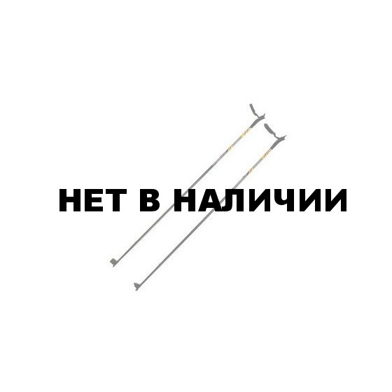 Лыжные палки 120 см (г. Бийск)