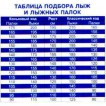 Лыжные палки 120 см (г. Бийск)