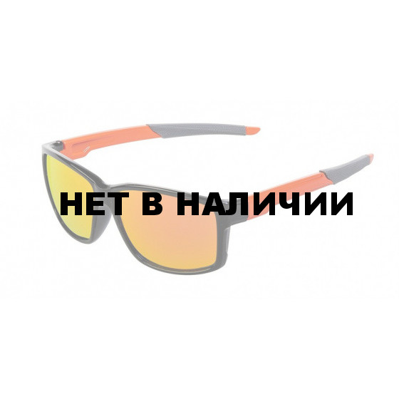 Очки поляризационные в чехле Nisus (N-OP-PF2015-O)