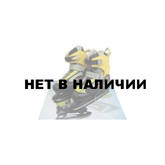 Коньки раздвижные PW-211D