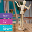 Манекен человека для рисования Brauberg Art Classic Женщина 30 см 191290