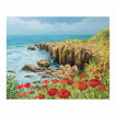 Холст на картоне с контуром Brauberg Art Classic Цветы и Море 30х40 см, грунт, хлопок 191541