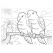 Раскраска по номерам А4 Юнландия Птицы 4 картинки 661613