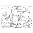 Раскраска по номерам А4 Юнландия Птицы 4 картинки 661613