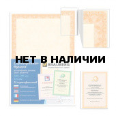 Сертификат-бумага для лазерной печати Brauberg А4 115 г/м2, 25 листов, оранжевый интенсив 122625