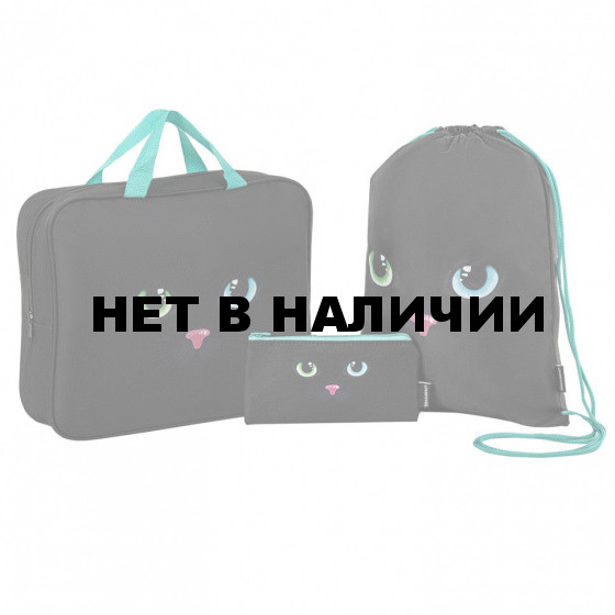 Школьный набор BRAUBERG: папка А4 мешок для обуви 42х33 пенал-косм Black cat 271434 (1)