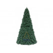 Ель высотная Royal Christmas Giant Trees (370 см)